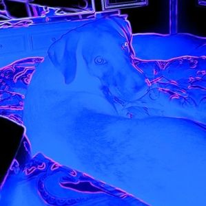 Meet your Posher, Varessa